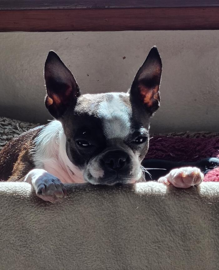 Images Thrive Counseling Services LLC