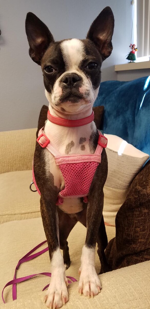 Images Thrive Counseling Services LLC