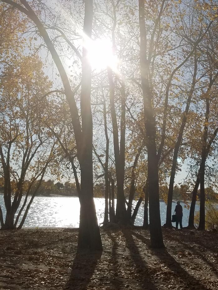 Images Thrive Counseling Services LLC