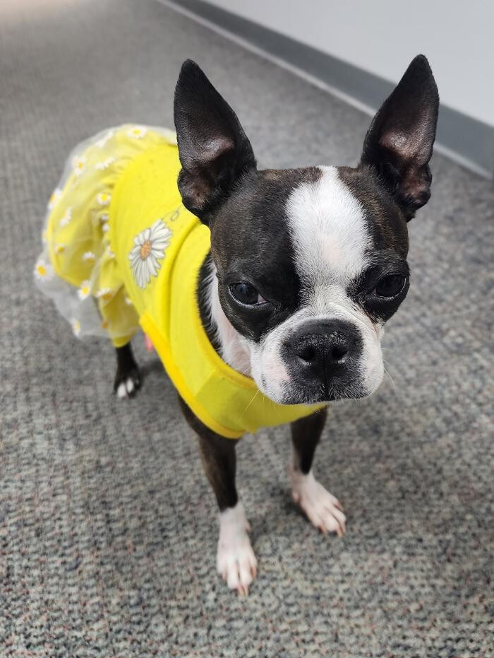 Images Thrive Counseling Services LLC