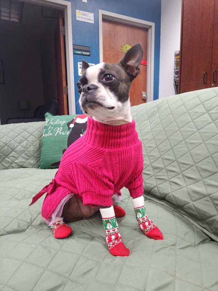 Images Thrive Counseling Services LLC