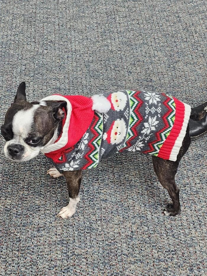 Images Thrive Counseling Services LLC