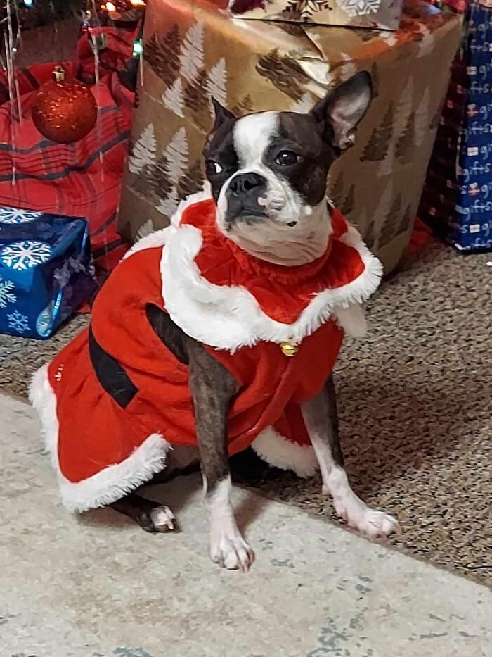 Images Thrive Counseling Services LLC