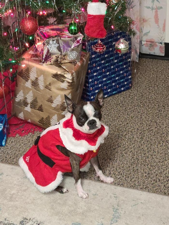 Images Thrive Counseling Services LLC