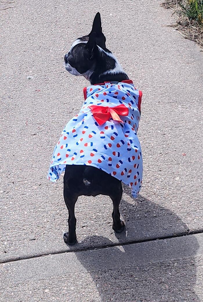 Images Thrive Counseling Services LLC