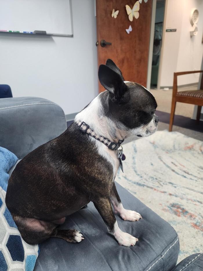 Images Thrive Counseling Services LLC