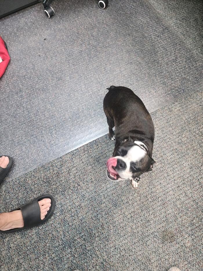 Images Thrive Counseling Services LLC