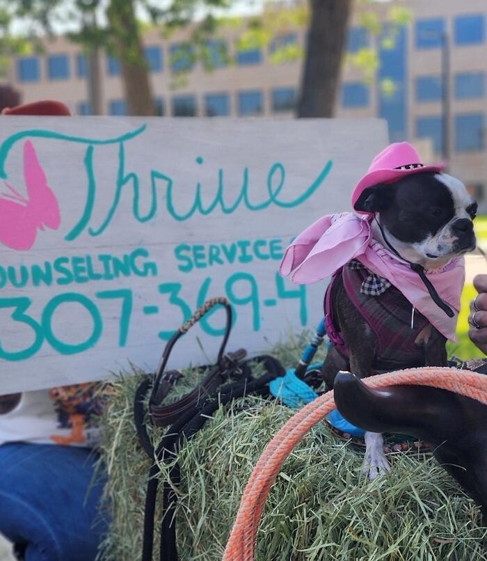 Images Thrive Counseling Services LLC