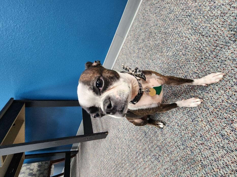 Images Thrive Counseling Services LLC