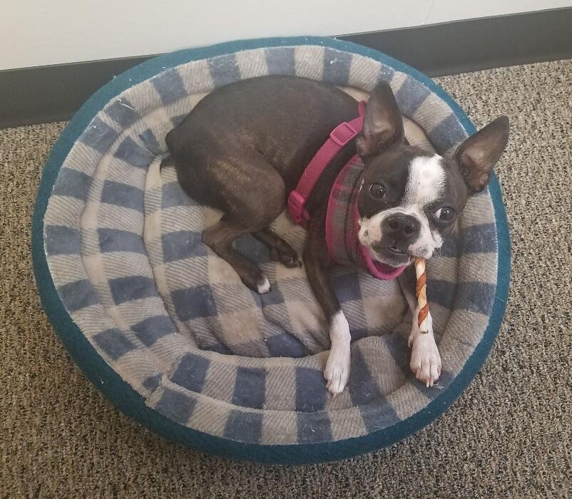 Images Thrive Counseling Services LLC