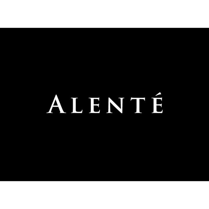 Images Alente Spa / Salon
