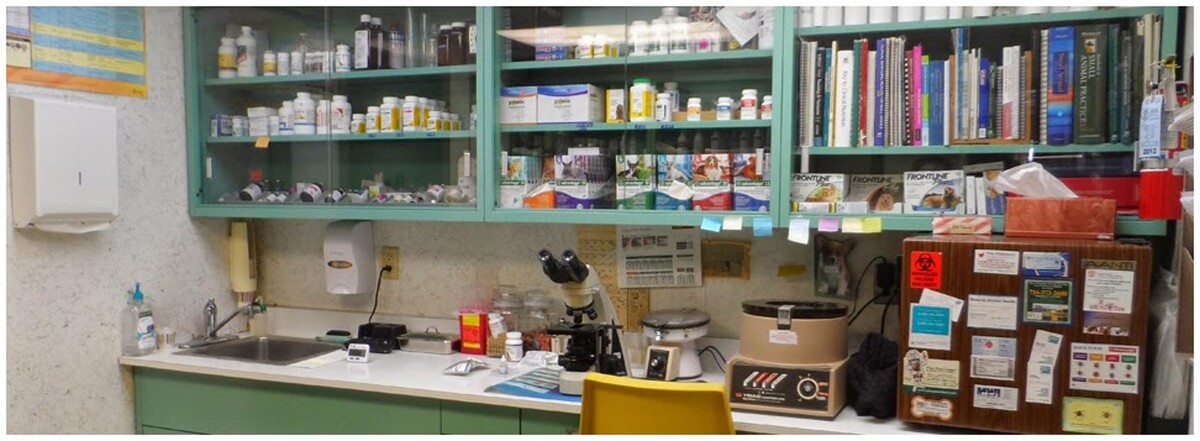 Images Olean Veterinary Clinic