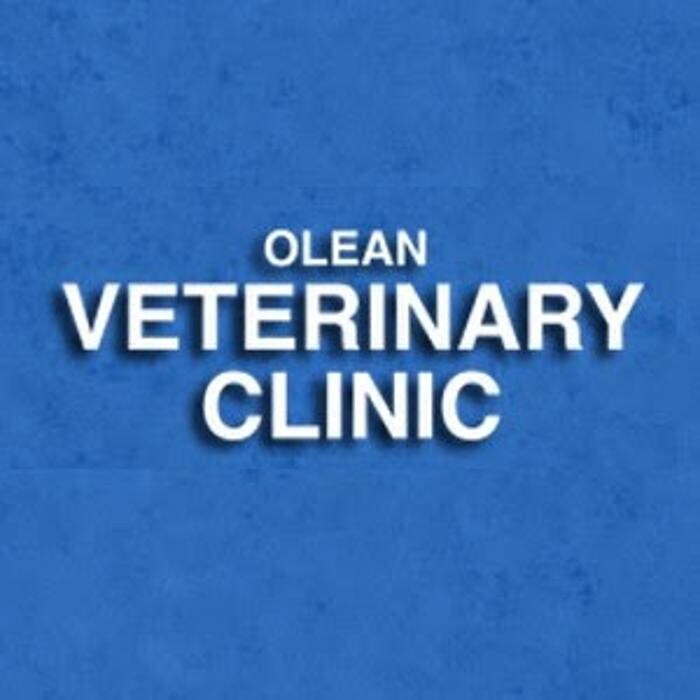 Images Olean Veterinary Clinic