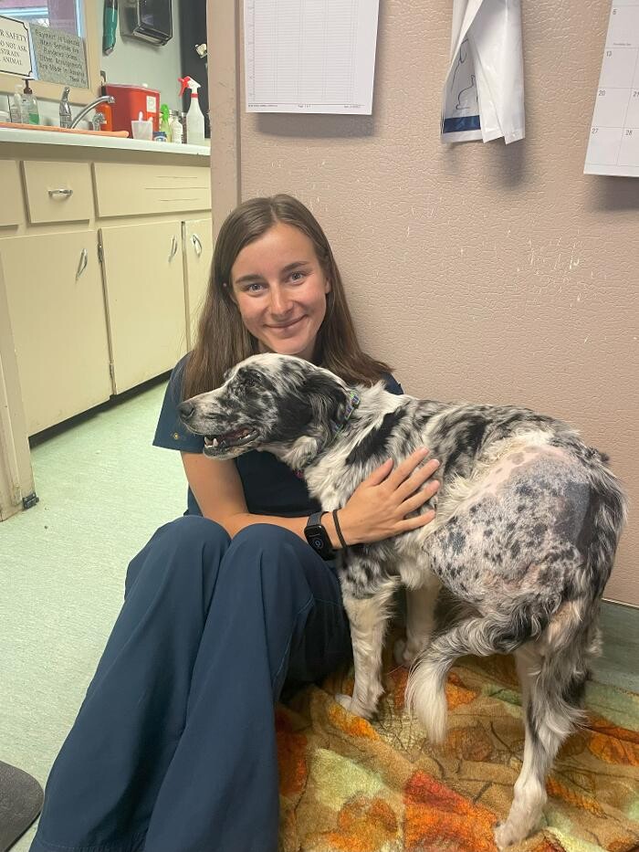 Images Bear Creek Animal Hospital