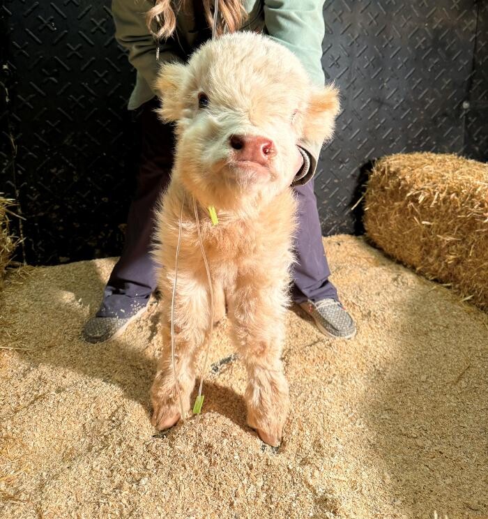 Images Bear Creek Animal Hospital