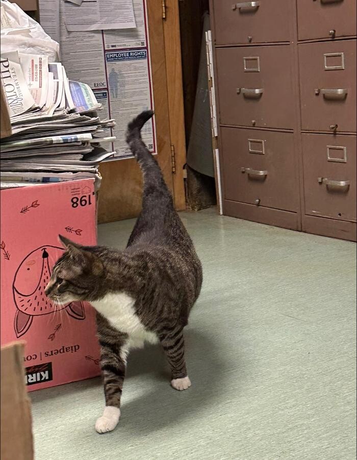 Images Bear Creek Animal Hospital