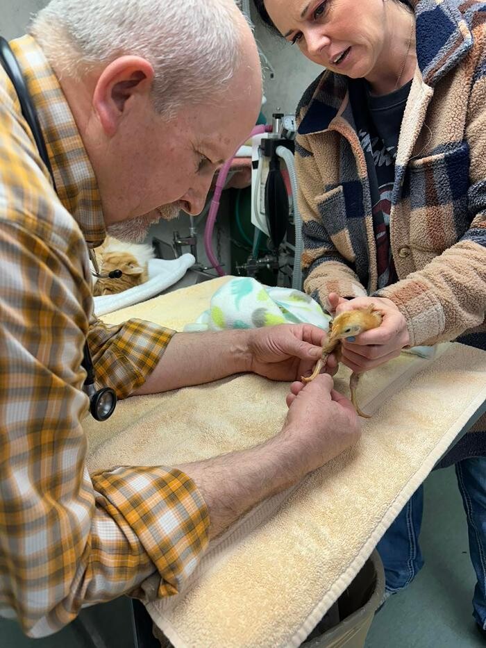 Images Bear Creek Animal Hospital