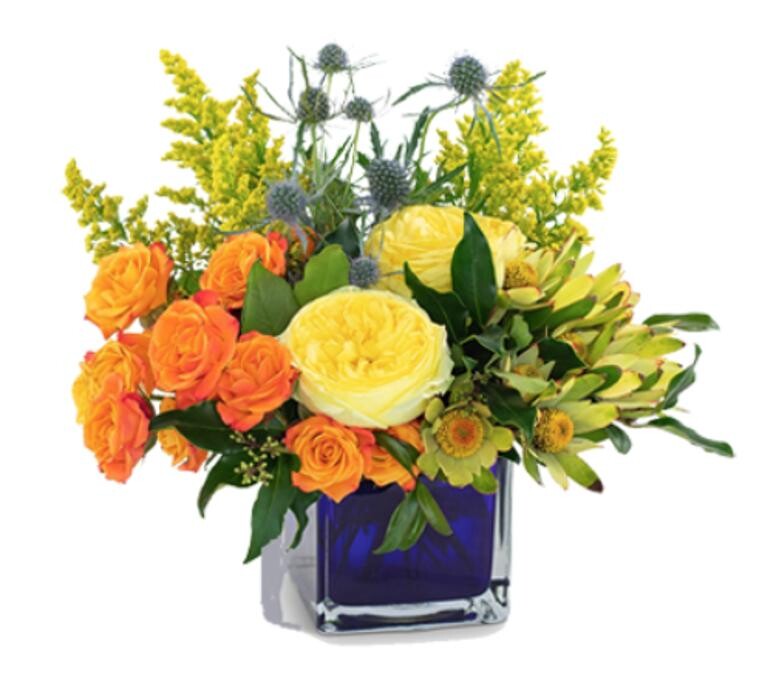 Images House of Flowers