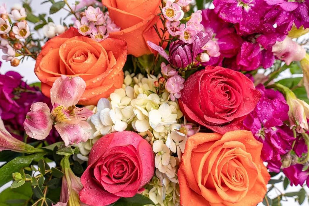 Images House of Flowers