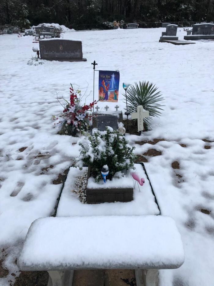 Images House of Flowers