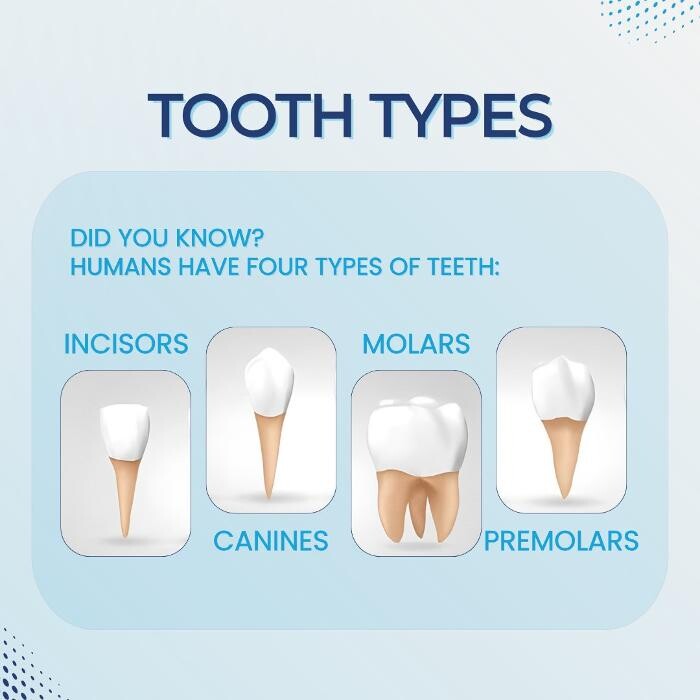 Images Northwest Dental Health & Aesthetics