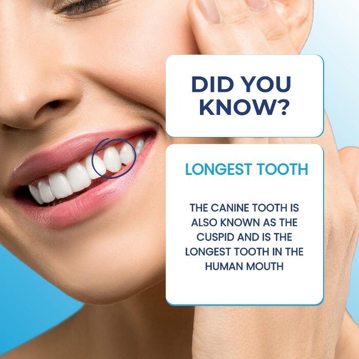 Images Northwest Dental Health & Aesthetics