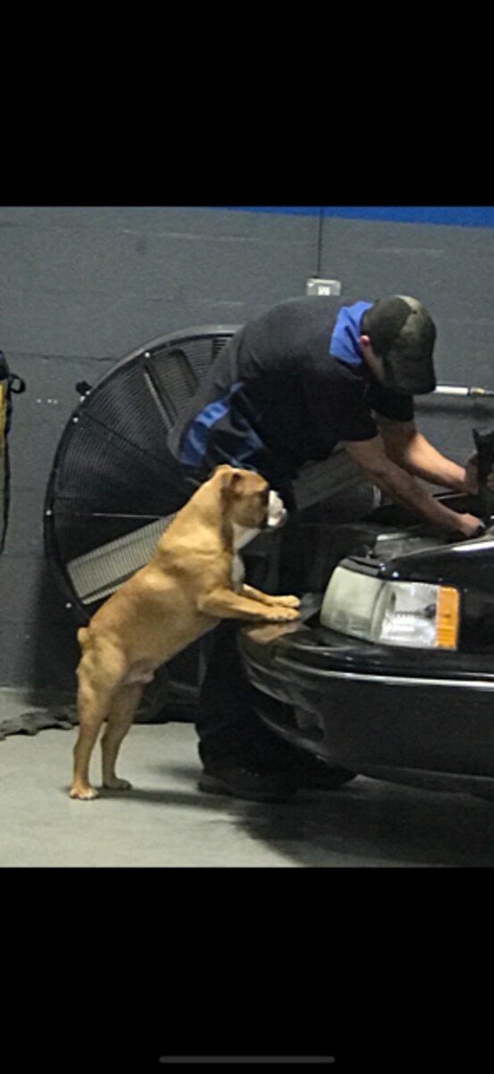 Images Trimax Car Care Center