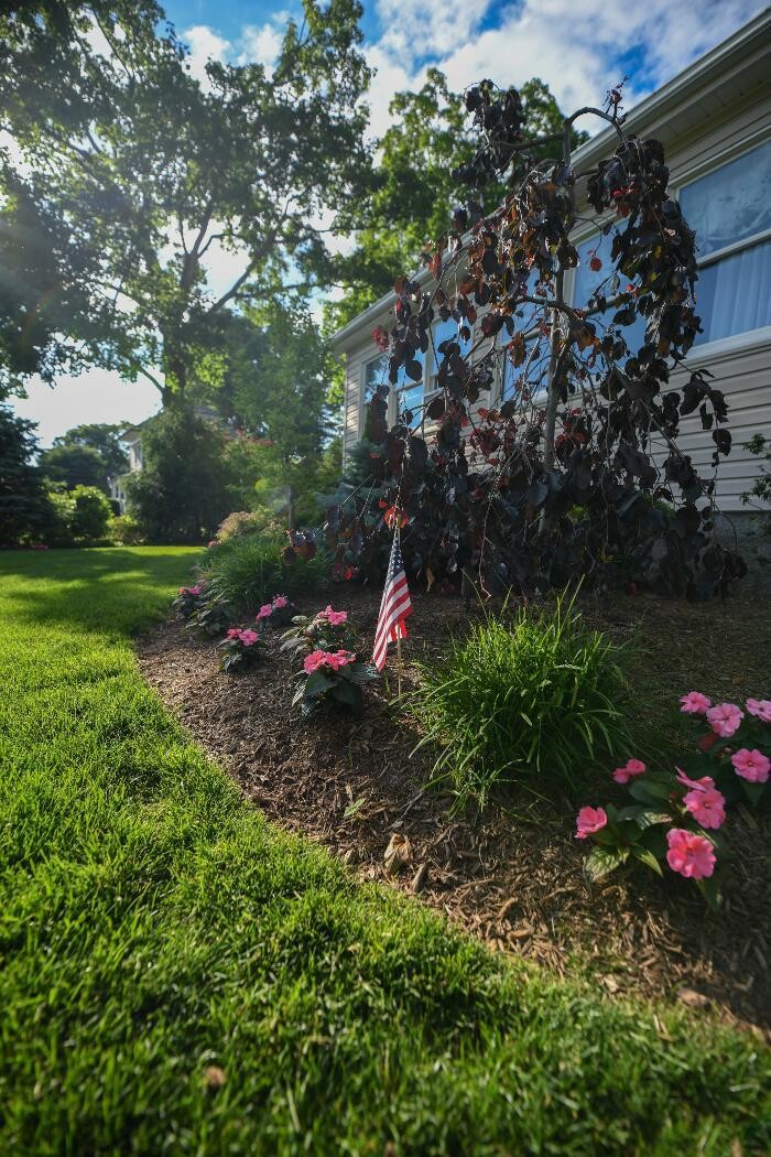 Images TLC Landscaping