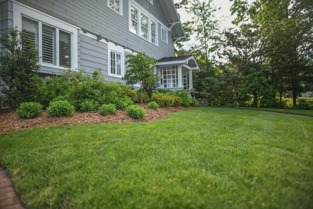 Images TLC Landscaping