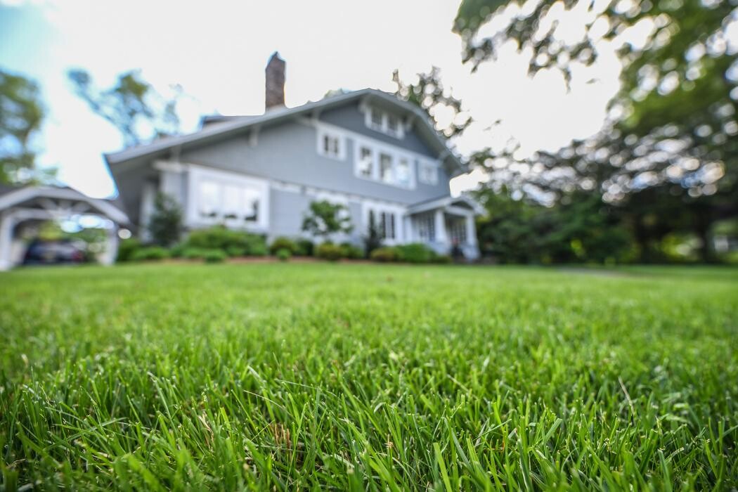 Images TLC Landscaping