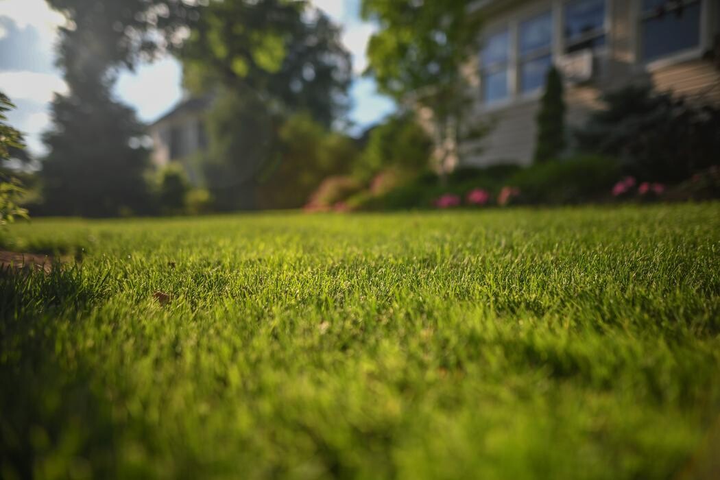 Images TLC Landscaping
