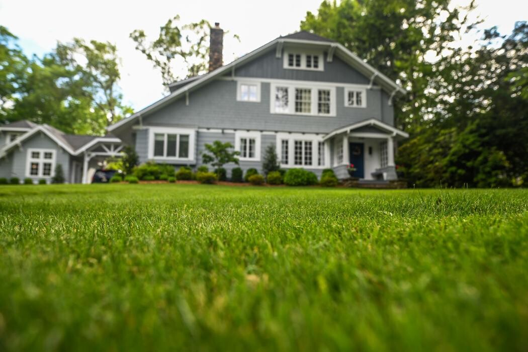 Images TLC Landscaping