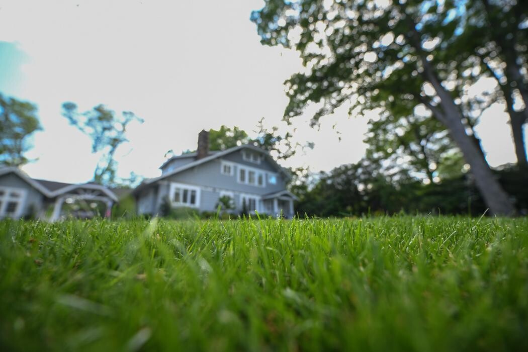 Images TLC Landscaping