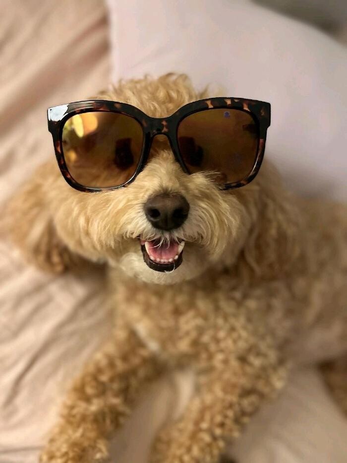 Images Estero Bay Dental