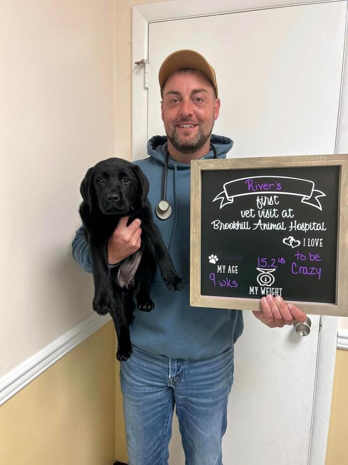 Images Brookhill Animal Hospital