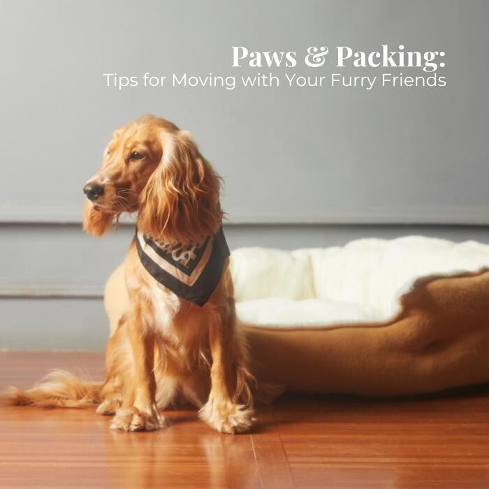 Images Sheri L Kunkle | eXp Realty