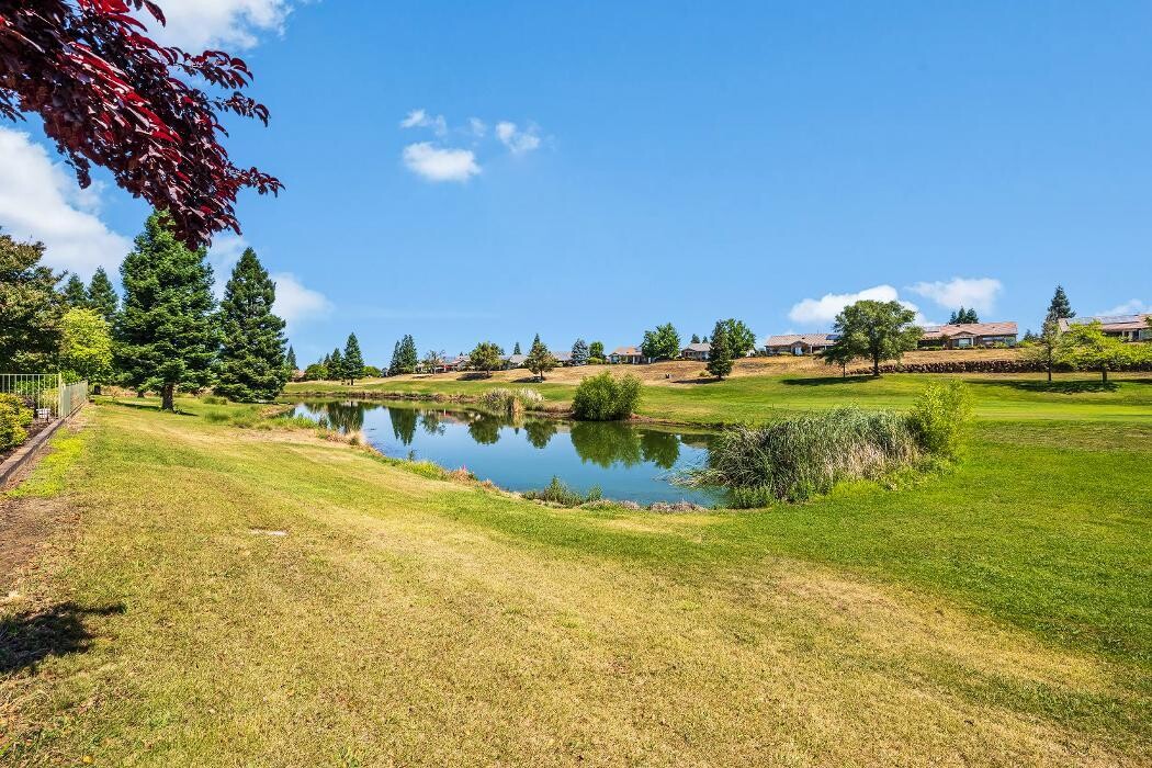 Images Carolan Properties