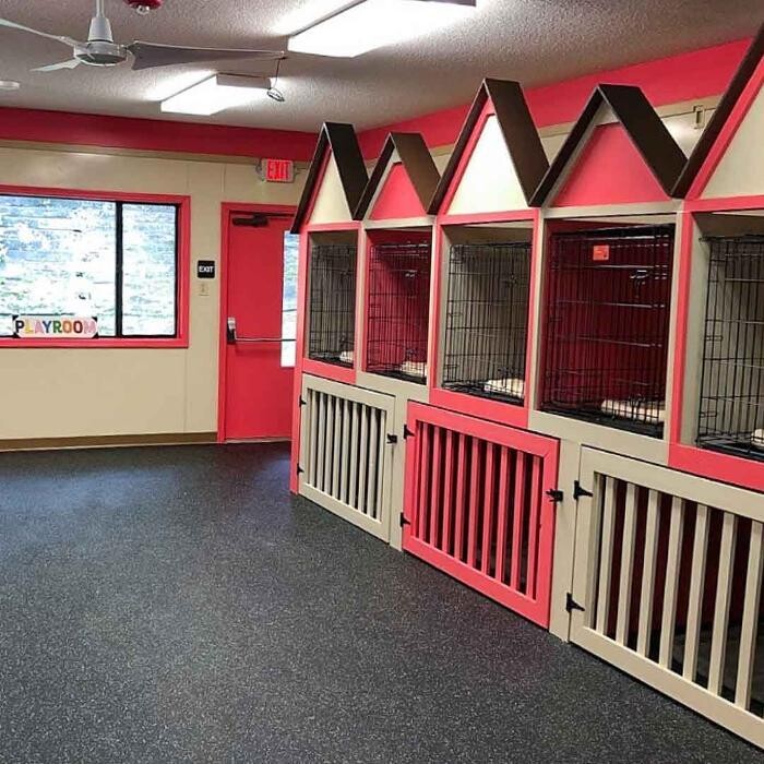 Images Fido Fido Dog Daycare & Boarding