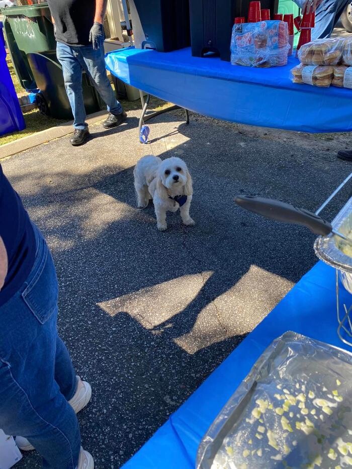 Images Falk Family Total Health