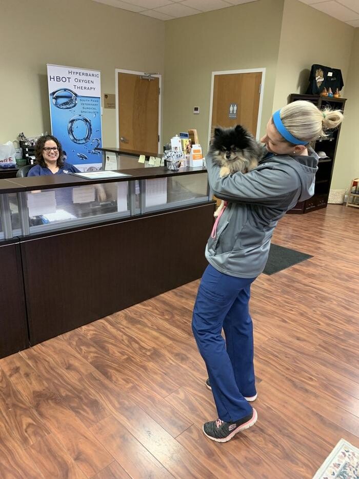 Images South Paws Veterinary Surgical Specialists