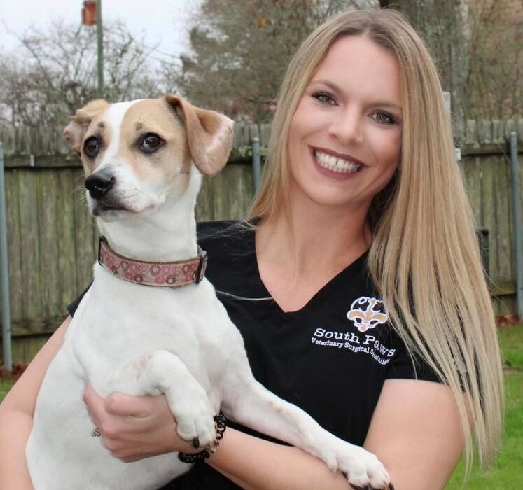 Images South Paws Veterinary Surgical Specialists