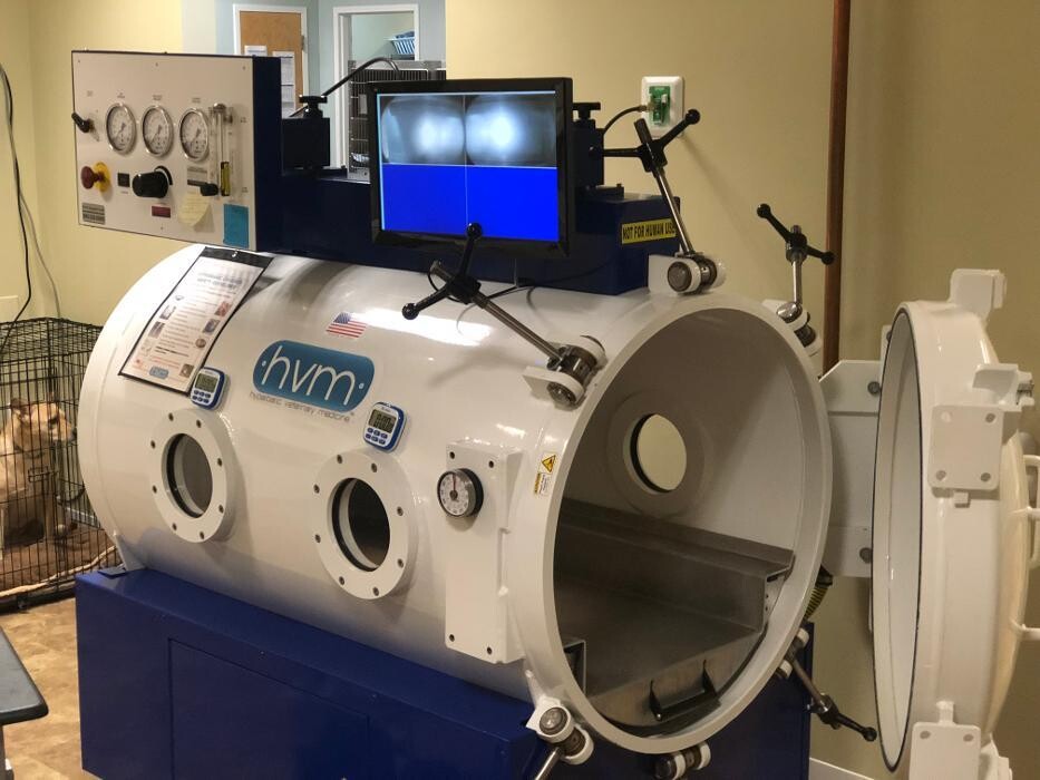 Images South Paws Veterinary Surgical Specialists