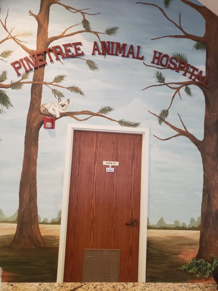 Images Pinetree Animal Hospital