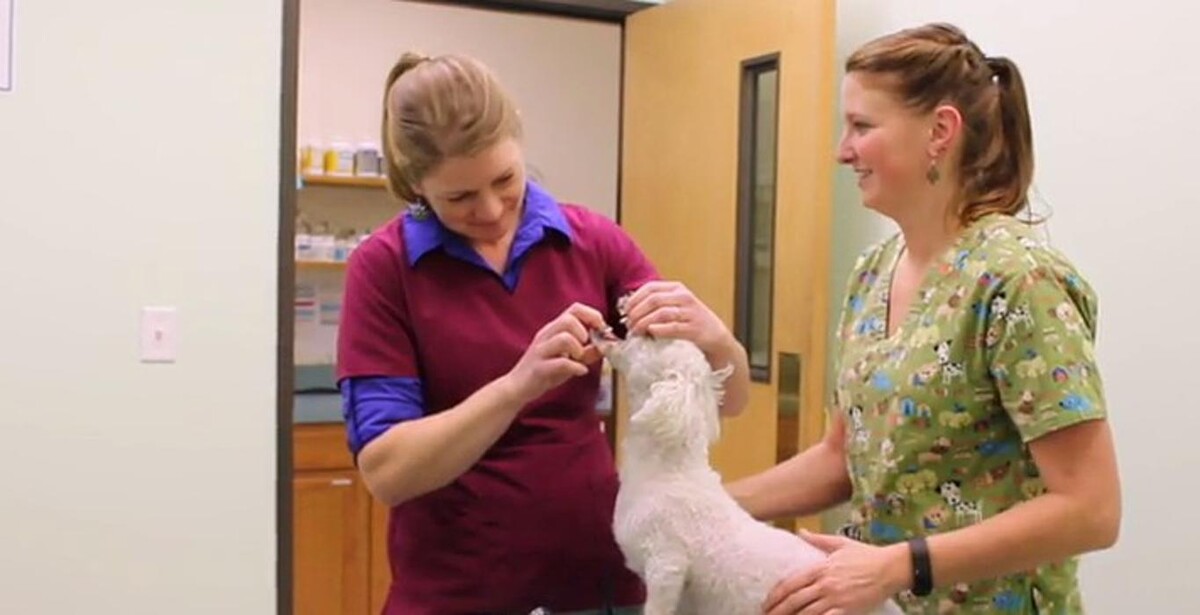 Images Carbon County Veterinary Hospital