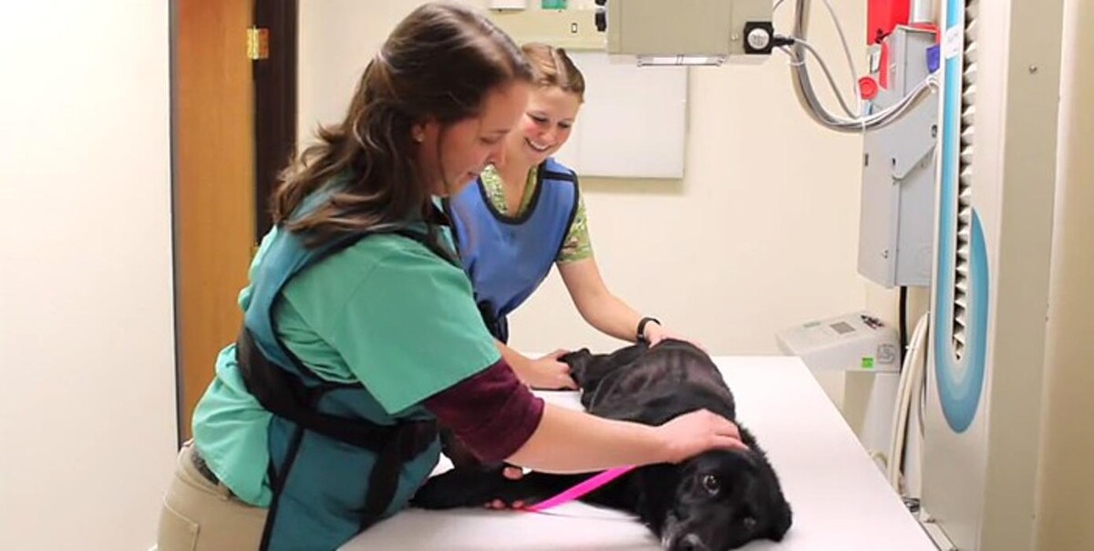 Images Carbon County Veterinary Hospital