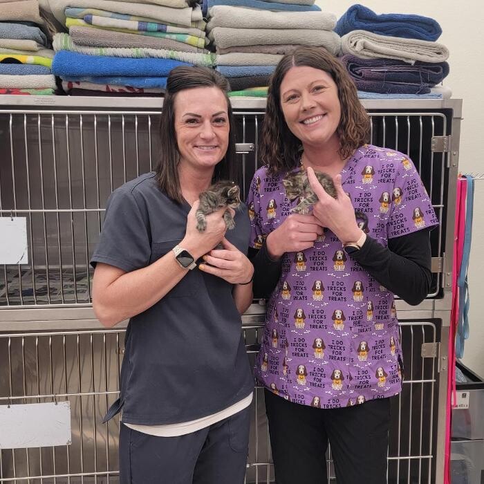 Images Carbon County Veterinary Hospital