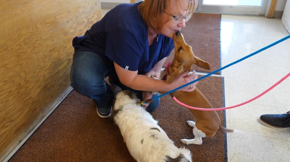 Images Carbon County Veterinary Hospital