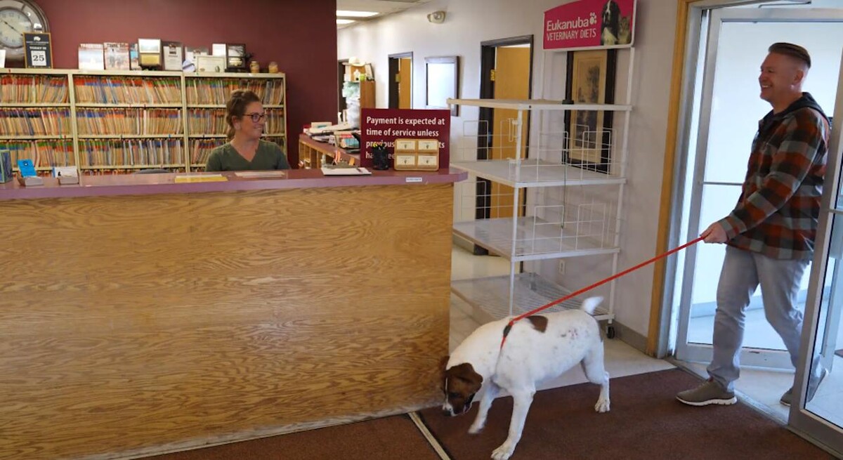 Images Carbon County Veterinary Hospital