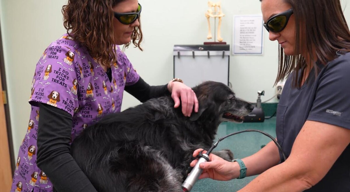 Images Carbon County Veterinary Hospital