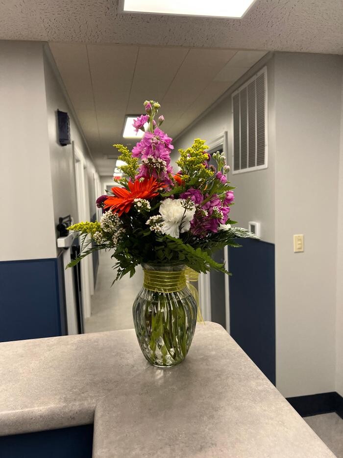 Images NWO Orthopedics and Sports Medicine